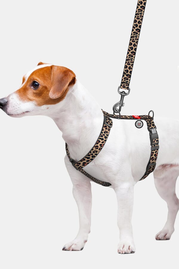 WAUDOG Шлея WAUDOG Nylon 00620140_20  №3