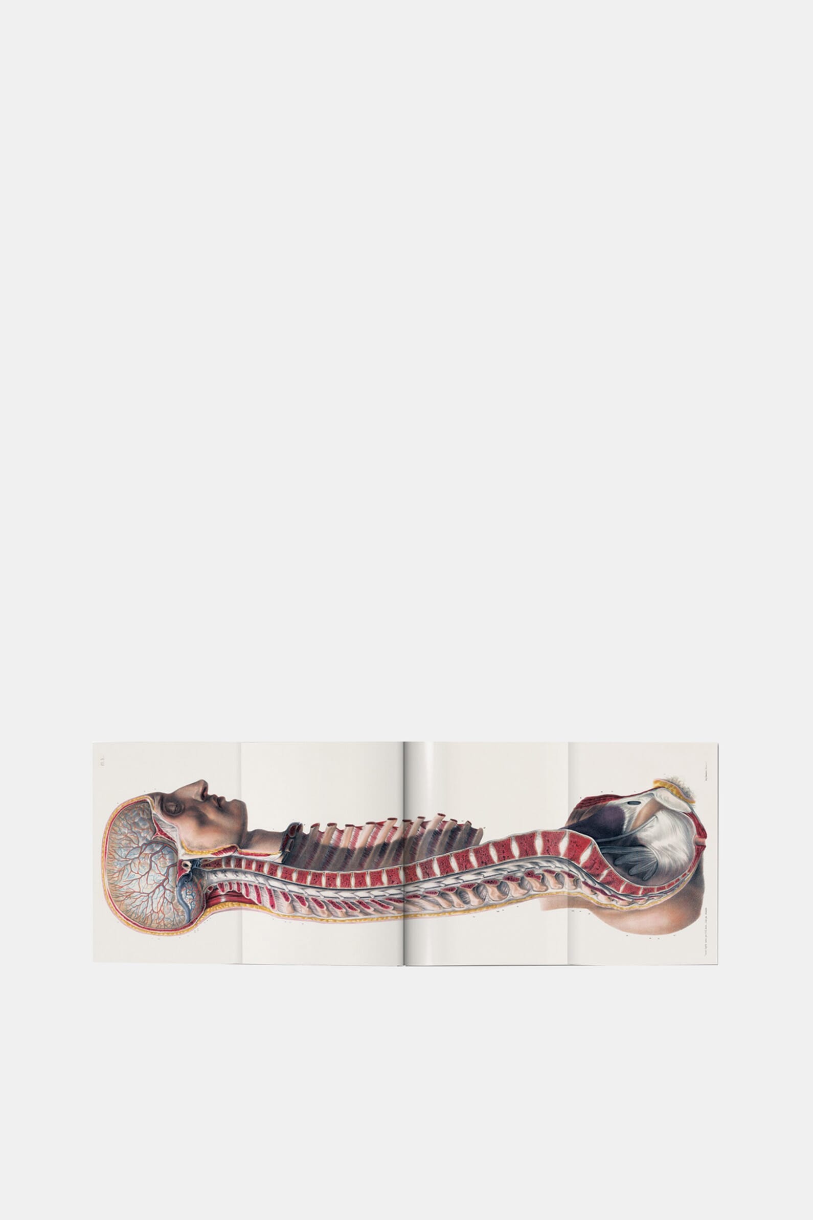 Книга Bourgery. Atlas of Human Anatomy and Surgery Taschen