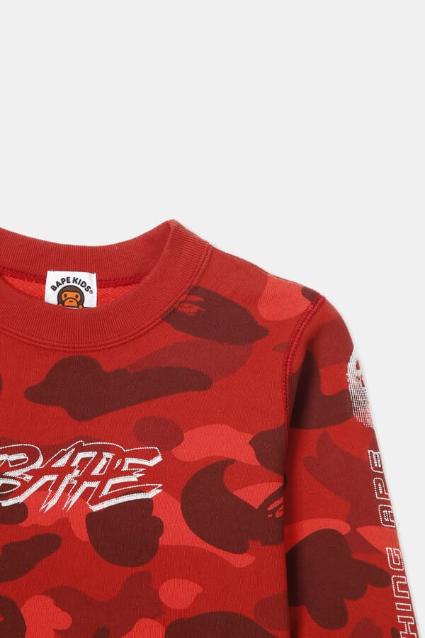 A Bathing Ape Світшот 00430642_16  №2