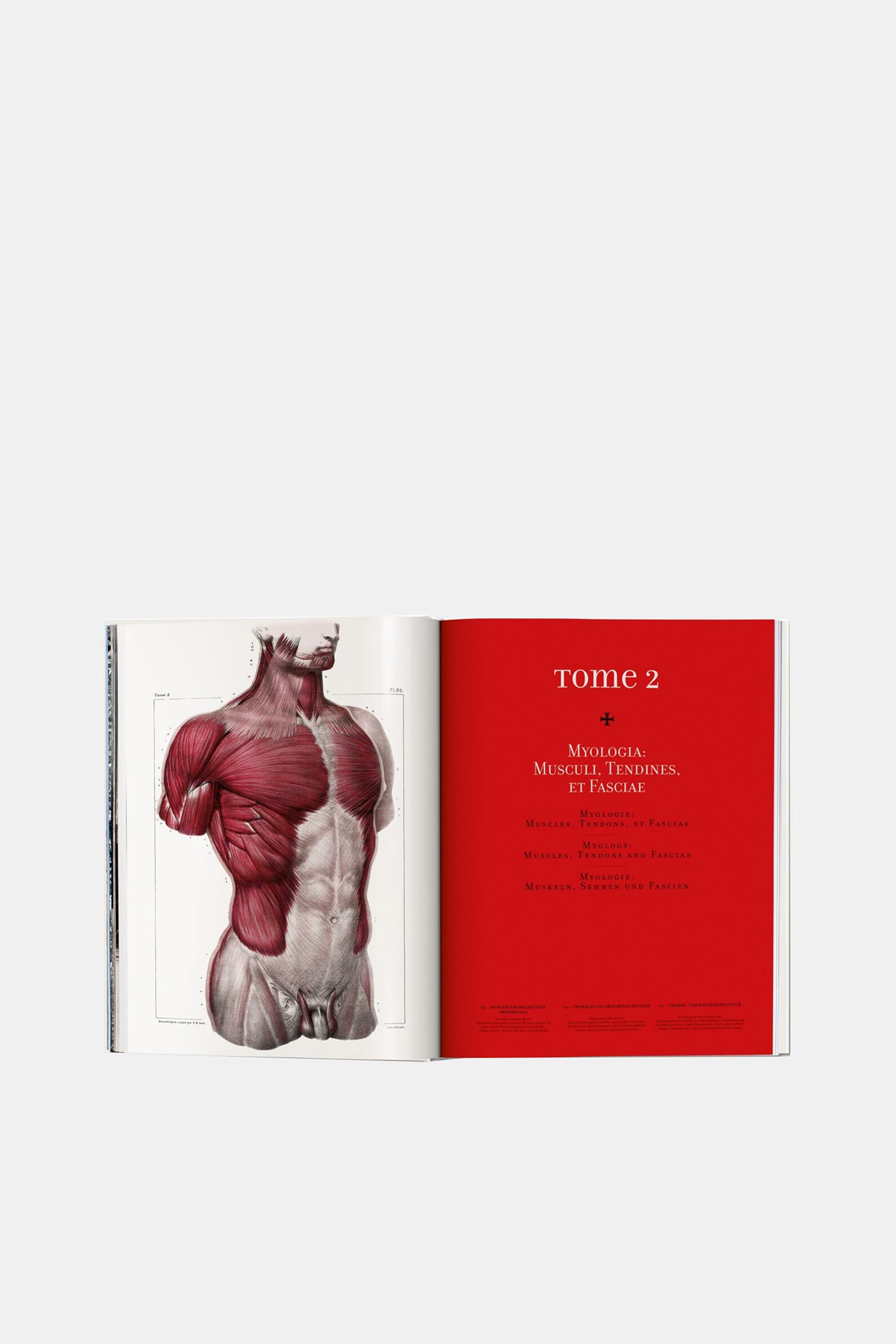Книга Bourgery. Atlas of Human Anatomy and Surgery Taschen