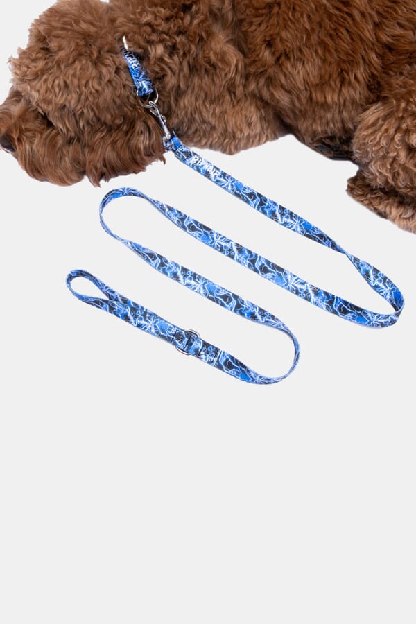 Ripndip Поводок Nermal Leaf Pet Collar 00450329_04  №3