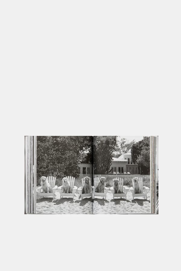 Taschen Книга Bruce Weber. The Golden Retriever Photographic Society 00435390_34  №2