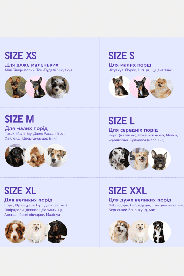 Hat-Dog Панама для собак Hat-Dog 00573182_49 №3