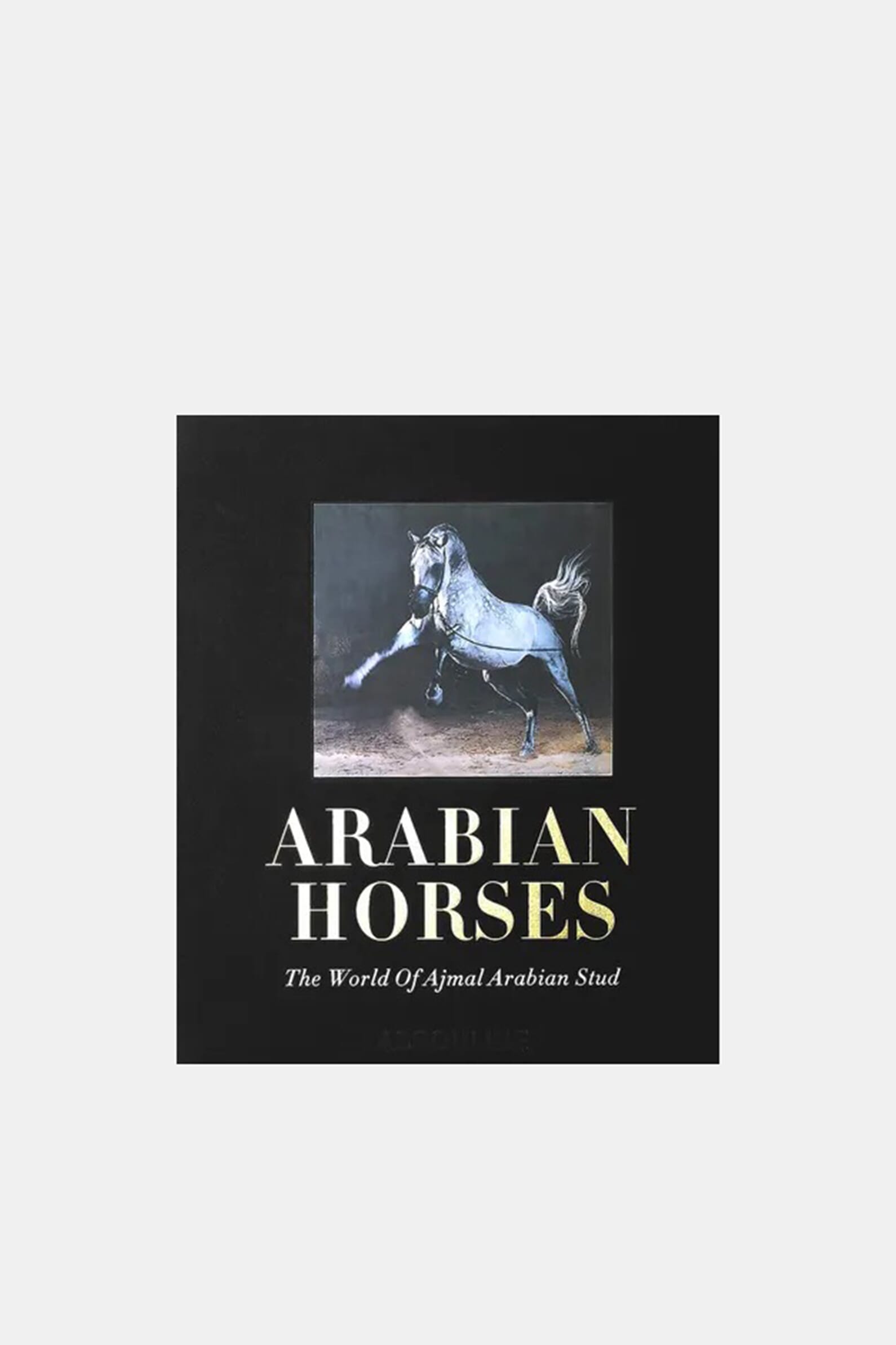 Arabian Horses