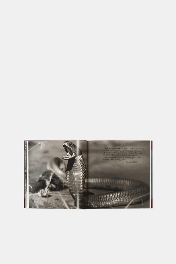 Taschen Книга Peter Beard. The End of the Game 00422003_34  №2