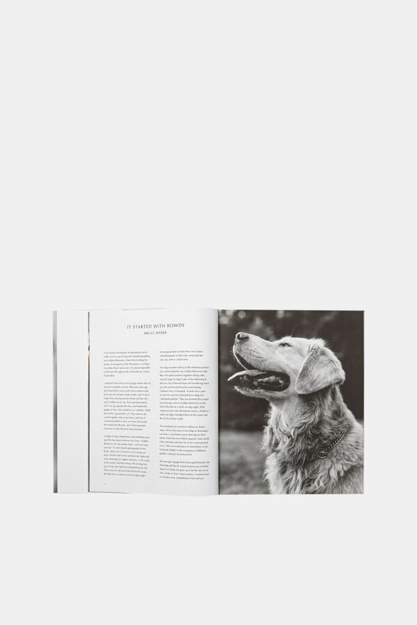 Taschen Книга Bruce Weber. The Golden Retriever Photographic Society 00435390_34  №4
