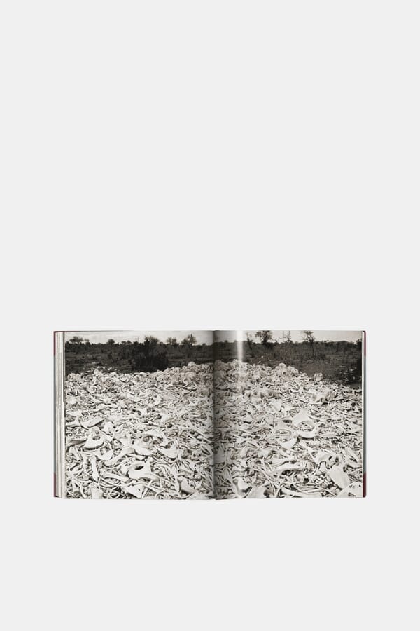 Taschen Книга Peter Beard. The End of the Game 00422003_34  №3