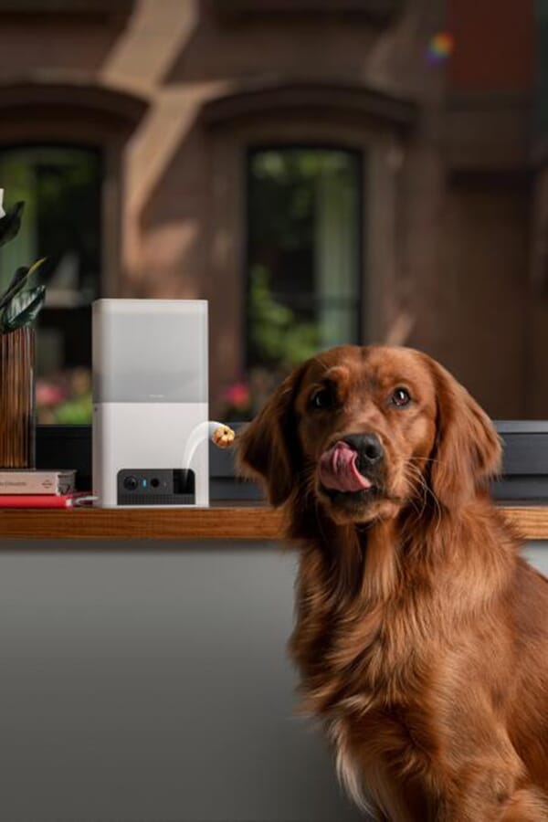 Petcube Інтерактивна HD-камера Petcube Bites 2 Lite 00577043_35  №2