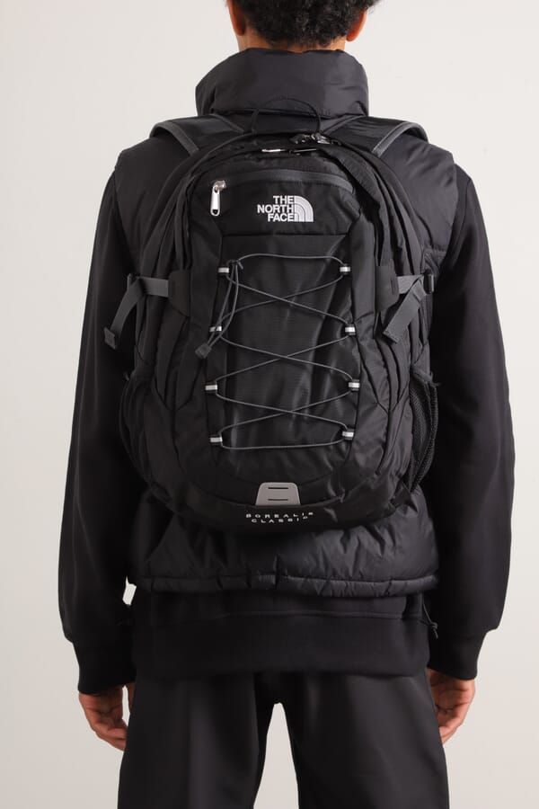 The North Face Рюкзак Borealis Classic 29L 00560765_01 №2