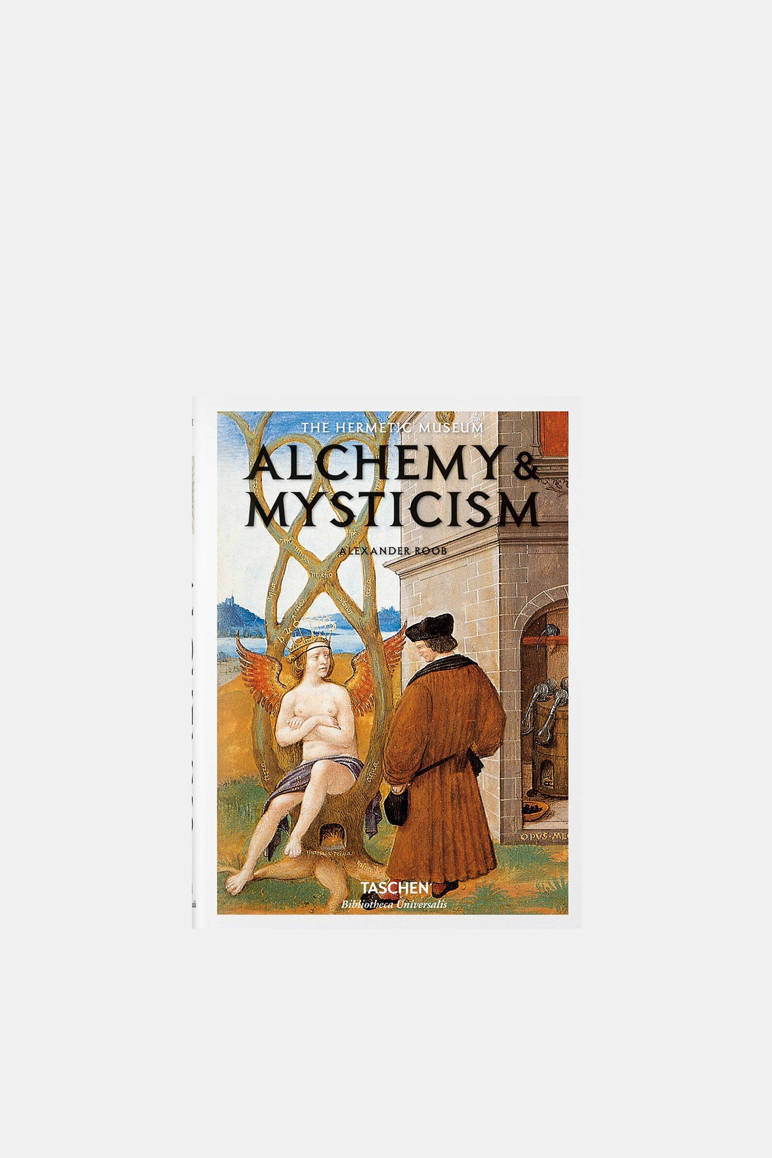 Книга Alchemy and Mysticism