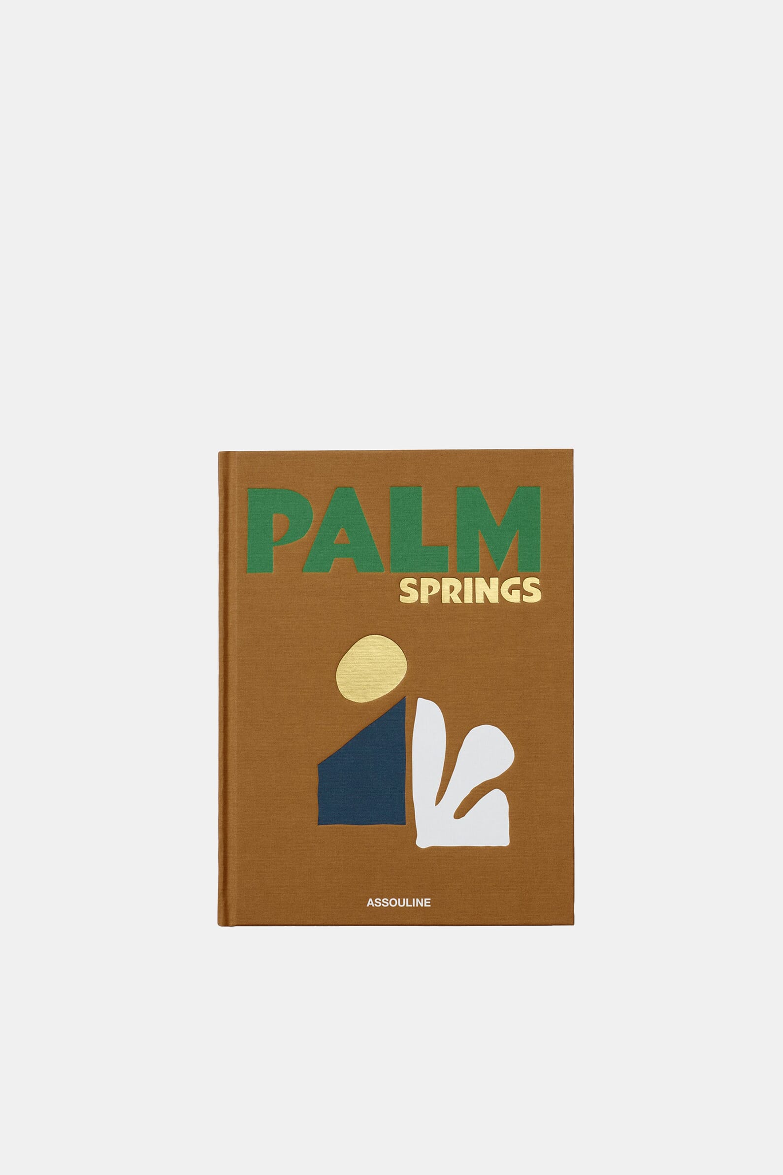 Книга Palm Springs